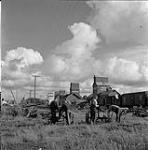 Hommes debout près de silos à grains, Swan River, Manitoba June 23, 1956.