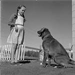 Fille avec un chien, Kitimat, Colombie-Britannique June, 1956.