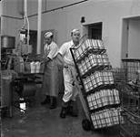 Dairy plant workers, Kitimat, British Columbia June 17, 1956.