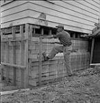 Homme debout près de bois d'oeuvre, Ouest du Canada [ca.1954-1963]