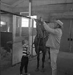 Man putting bridle on horse while child holds onto the reins [ca.1954-1963]