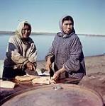 Deux femmes en train de couper de la viande de baleine, près de Tuktoyaktuk, T.N.-O. 23 juillet 1956.