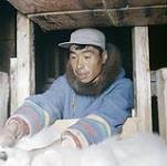 [Inuk man, Joanasie Egiyuk, in Hudson Bay Company] Man in Hudson Bay Company (HBC) Warehouse, Cape Dorset, Nunavut [entre juin-septembre 1960].