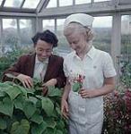 Nurse Winnifred Jeffrey and a woman grow flowers in the Anglican Mission greenhouse, Aklavik, N.W.T. July 20, 1956.