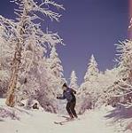 Man skiing at Mont-Tremblant, Laurentians, Quebec February 1961