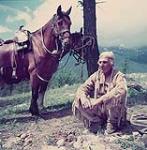 A man in traditional costume in the foreground. In the background can be seen the saddle horse hitched up to a tree.  [Homme en costume traditionnel à l'avant et un cheval sellé attaché à un arbre, à l'arrière.] 1959