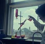 [Woman pouring liquid into a vial] June 1956