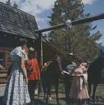 H.R.H. Princess Margaret feeding a horse at Fairholme Ranch. Banff, Alberta.  [La princesse Margaret nourrissant un cheval au ranch Fairholme. Banff, Alberta] [Entre juillet et août 1958].