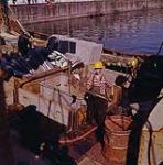 A close-up view looking on the deck of a fishing boat where the men are cleaning up. Halifax, Nova Scotia. [Homme dans un navire de charge, en salopette et avec un casque de protection, tenant une fourche. Halifax, Nouvelle-Écosse.] 1961