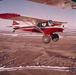 [Deux hommes dans un petit avion, lors d'une étude de la vie sauvage de l'Arctique] 1961