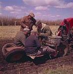 Men in a field, two men sitting on the farm tractor. Ardath, Saskatchewan.  1961