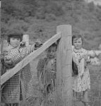 Gaspé 1951, (1) group of children behind a fence 1951