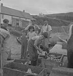 Gaspé 1951, (8) group watching a boy cleaning a fish 1951