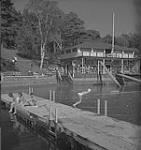 Halifax, swimmers on bulkead in swimming area at the Waegwoltic Club [ca 1939-1951].