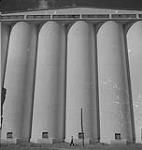 Saskatoon & Wheat, man walking past silos [between 1939-1951].
