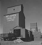 Saskatoon et blé, enfants à l'extérieur du silo-élévateur de la Reliance Grain Co. Limited  [en Hughton, SK] [between 1939-1951].