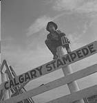 Stampede de Calgary, Alberta. Le compétiteur #118 assis sur une clôture [between 1939-1951]