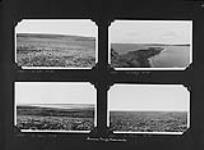 [Views of a summer range and herd of reindeer in the distance], Richards Island, Northwest Territories [1937].