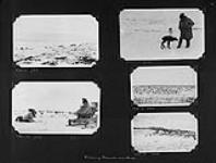 [L'éleveur Mikkel Pulk avec son chien et un faon, et des vues lointaines d'un troupeau de rennes, île Richards, Territoires du Nord-Ouest] [1936].