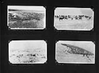 [Herd of reindeer and herders on a range, possibly in the vicinity of Tuktoyaktuk, N.W.T.] [1941].