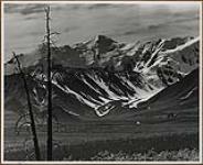 The St. Elias Mountains at Boutelliers Summit, Mile 1038 1949