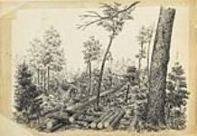 Logging Activities for the Hematite Mine August-September 1873