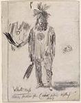 White Cap, a Sioux Chief, Showing a Feather Fan 1881