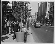 Rues de Montréal [entre 1950-1969]