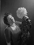 Woman with Chrysanthemum N.D.