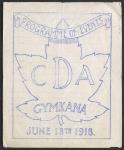 Canadian Divisional Artillery Gymkhana 1918-06-18