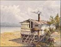 Squatter's Shack at Vancouver , B.C., demolished in 1905 s.d.