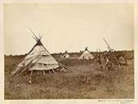 Summer lodges of the Ojibway [between 1872-1873].