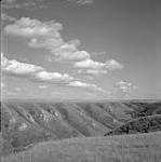 View of Maple Creek, SK August 10, 1954.