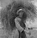 A Benedictine monk carrying hay 1950