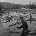 Men working on a log drive 1954