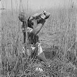 Biologiste observant un oeuf par mirage 1956