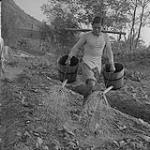 Un patient atteint de la lèpre arrose un jardin 1957