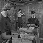 Trois femmes consultent divers documents de la Bibliothèque du Parlement 1957