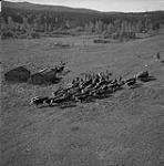 En direction de la vente de bétail de Quesnel (Colombie-Britannique), Pan Phillips atteint le village amérindien abandonné de Kluskus, où son bétail se repose pendant quelques jours octobre 1956