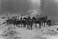Floyd Phillips et trois autres hommes à cheval pour déplacer le bétail 1957