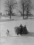 Des enfants tirant un arbre de Noël 1957