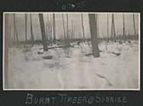 "Burnt Timber at Sunrise" 1907-1908