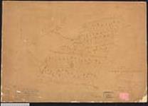 Plan of re-entry of block A & B, Tobique Indian Reserve, Victoria County,New Brunswick. / W.D. Hoyt, Deputy Land Surveyor 1918.