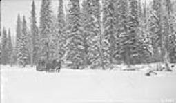 Cautley's winter trip. A tent is visible in the trees on the right. Alberta-BC boundary survey February 1922.