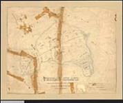 Plan of Thorah Island 1863.