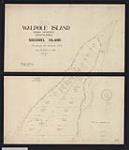 Plan of part of Walpole Island Indian Reserve, province of Ontario, beingSquirrel Island. / William MacKenzie, O.L.S 1907.