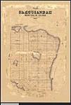 Plan of Sheguiandah, Manitoulin Island, also showing Pine Lake, Bass Lakeand Turtle Lake 1867.