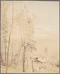 Winter scene near Dawson [Y.T.] November 1901.
