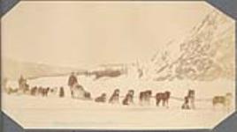St. Michael's [Alaska] mail arriving in Dawson, [Y.T.]. Dr. Edward Kindle with first dog team. [between 1889-1942]