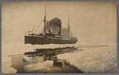 S.S. Umalilla in the ice [ca. 1906]